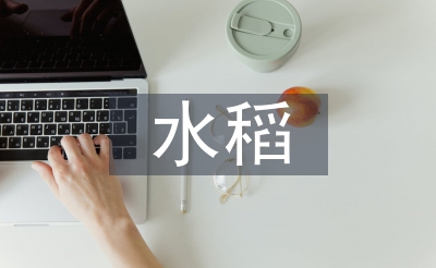 水稻栽培技術(shù)與管理