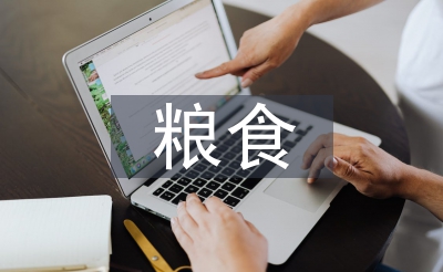 糧食經(jīng)濟論文