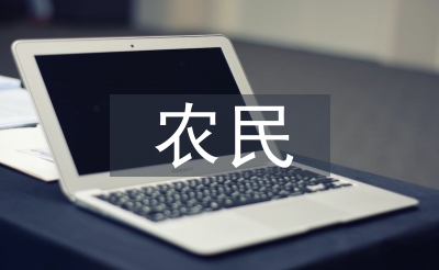 農(nóng)民消費論文