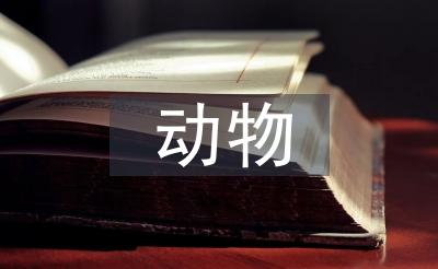 動物醫(yī)學(xué)和獸醫(yī)學(xué)的區(qū)別