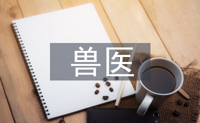 獸醫(yī)職稱論文