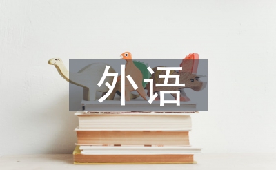 外語專業(yè)實習(xí)個人總結(jié)