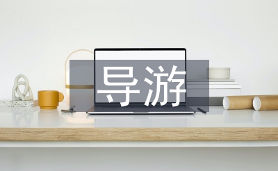 導(dǎo)游年度總結(jié)