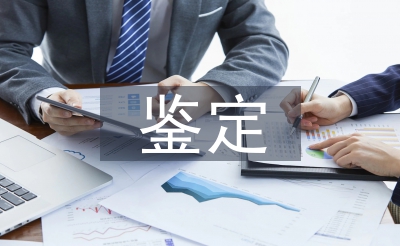 學(xué)年鑒定個(gè)人總結(jié)