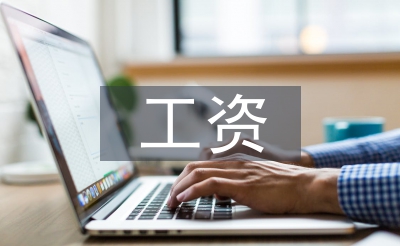 工資調(diào)查報告