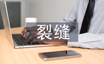 裂縫防治技術(shù)論文