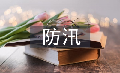 施工現(xiàn)場(chǎng)防汛總結(jié)
