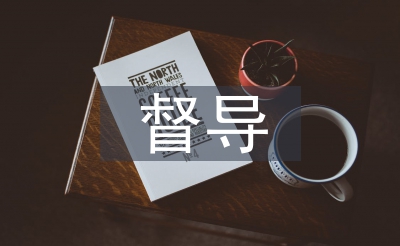 督導(dǎo)階段工作計(jì)劃