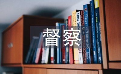 紀(jì)檢督察工作意見